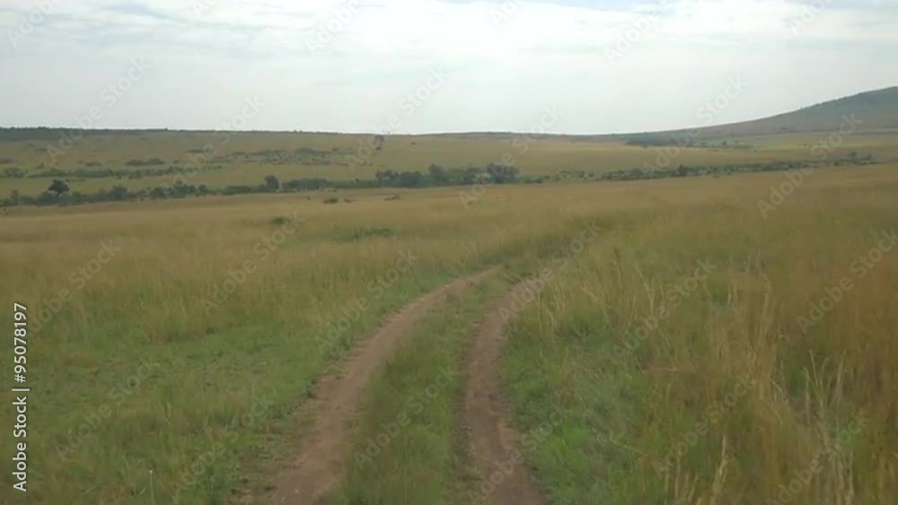 AERIAL: Driving along the dirt road on African safari AERIAL: Driving along the dirt road on African safari