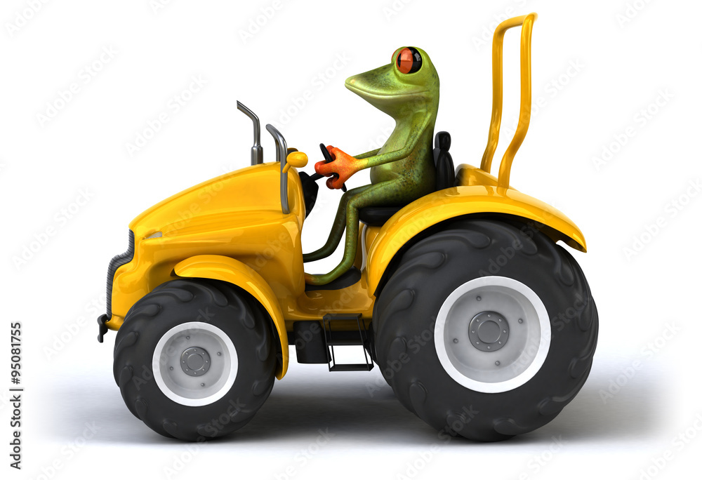 Fun frog Fun frog