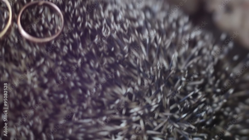 Wedding RING needle hedgehog - closeup