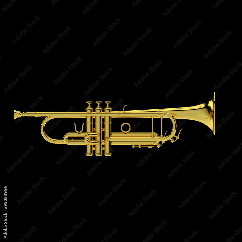 Fototapeta premium Trumpet