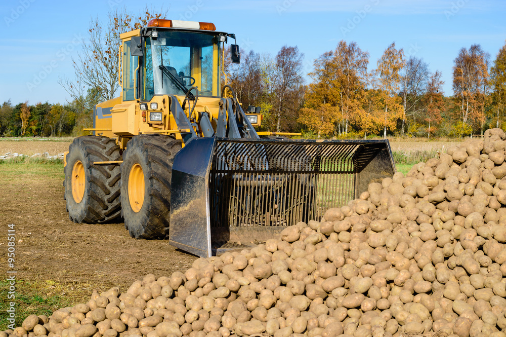 Obraz premium Front loader