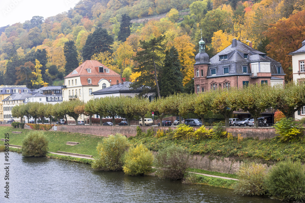 Obraz premium 秋のハイデルベルクの街並みとネッカー川