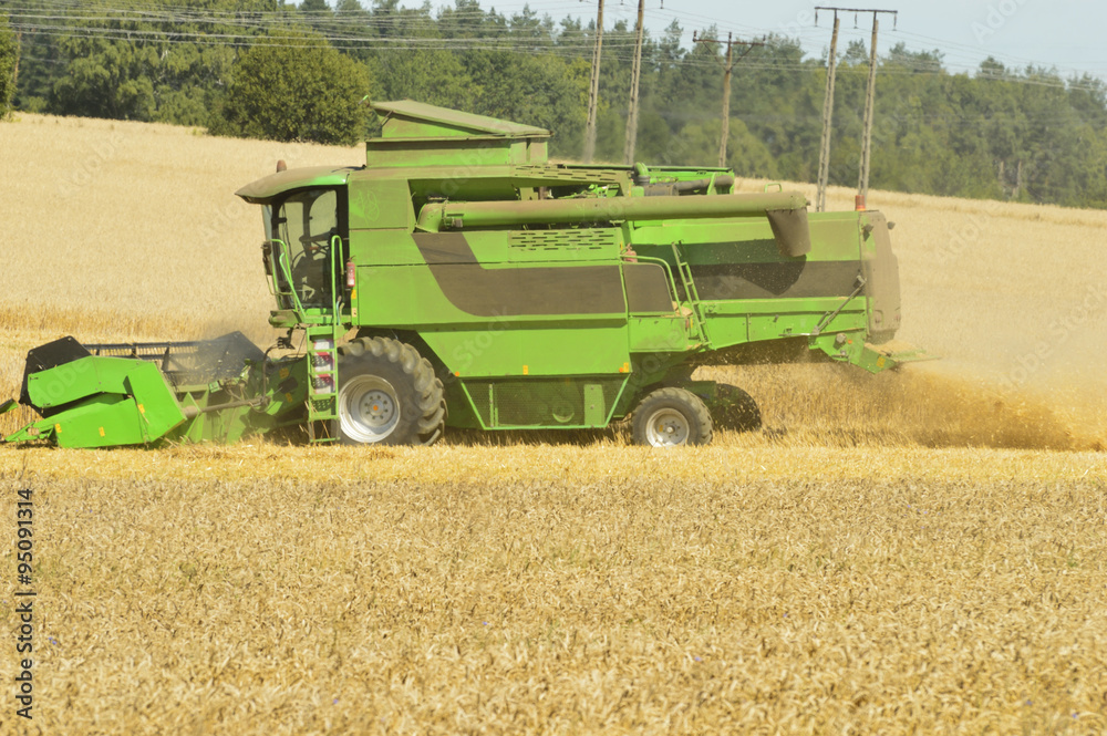 Obraz premium Combine the field
