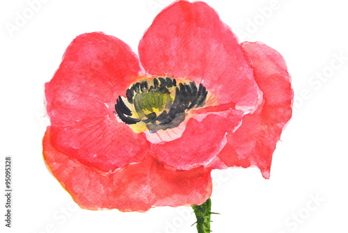 Red poppy flowers, watercolor painting