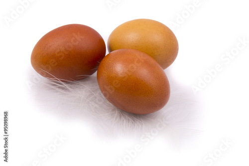 brown chicken eggs with white feather close-up