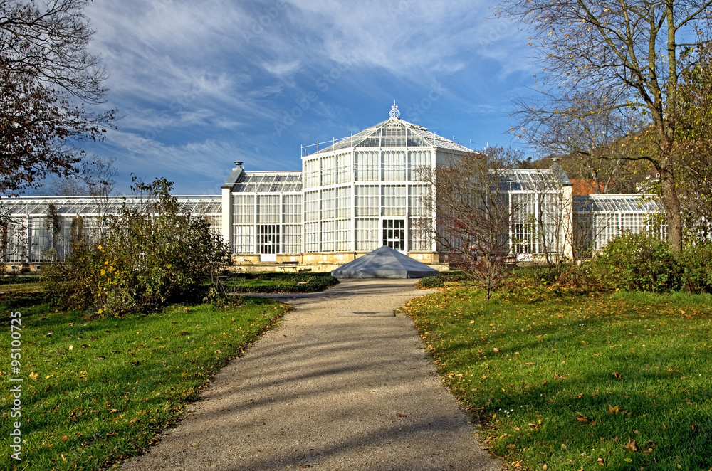 Greenhouse ecosystem. Botanical garden with tropical plants in a autumn park.