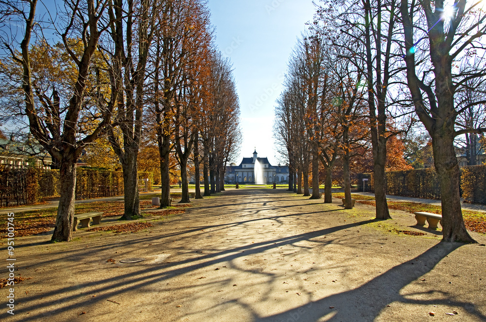 Autumn park in the sunlight.Fall trees along an alley in Pillnitz palace forest, Dresden,Saxony,Germany Autumn park in the sunlight.Fall trees along an alley in Pillnitz palace forest, Dresden,Saxony,Germany