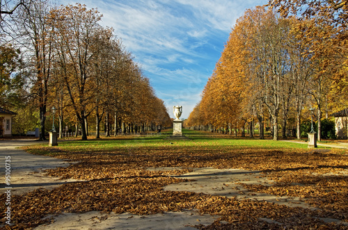Autumn park in the sunlight.Fall trees along an alley in Pillnitz palace forest, Dresden,Saxony,Germany