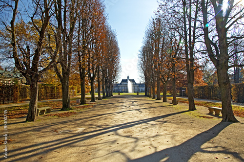 Autumn park in the sunlight.Fall trees along an alley in Pillnitz palace forest, Dresden,Saxony,Germany