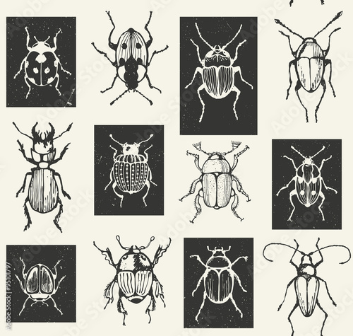 Seamless entomological vector pattern with  bugs.