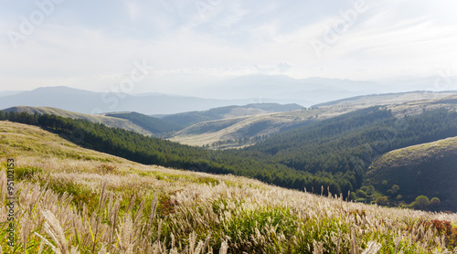 View of the vast plateau.Yellow-green meadow