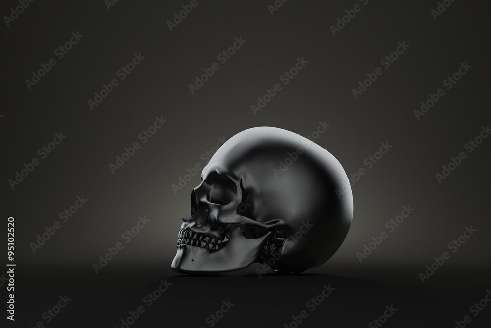 Still life human skull. Contains clipping path Still life human skull. Contains clipping path