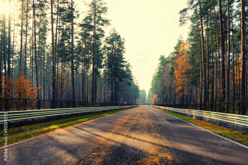 An empty asphalt road in the autumn forest