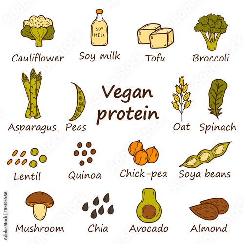 Vegan protein icons