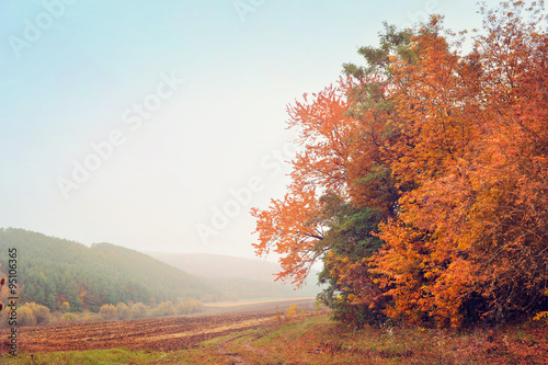 Beautiful autumn landscape misty morning