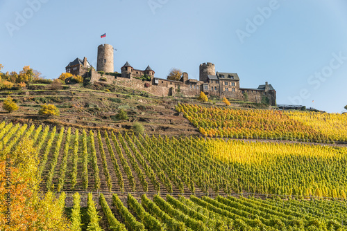 Mosel - Burg Thurant mit Weinberg