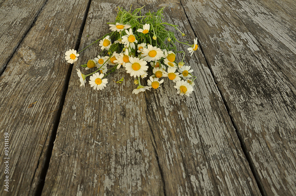 Obraz premium Bouquet of field daisies on texture of old cracked wood
