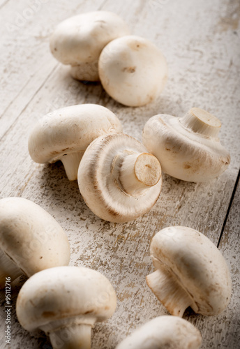 mushrooms on aged wood