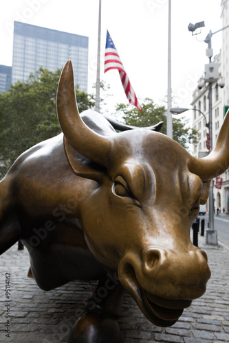 the charging bull