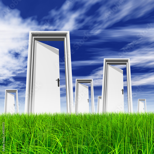 White door in grass with sky background