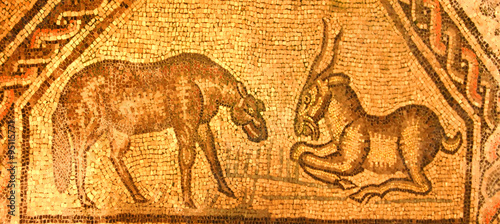 golden roman mosaic of a confrontation between a sheep and goat