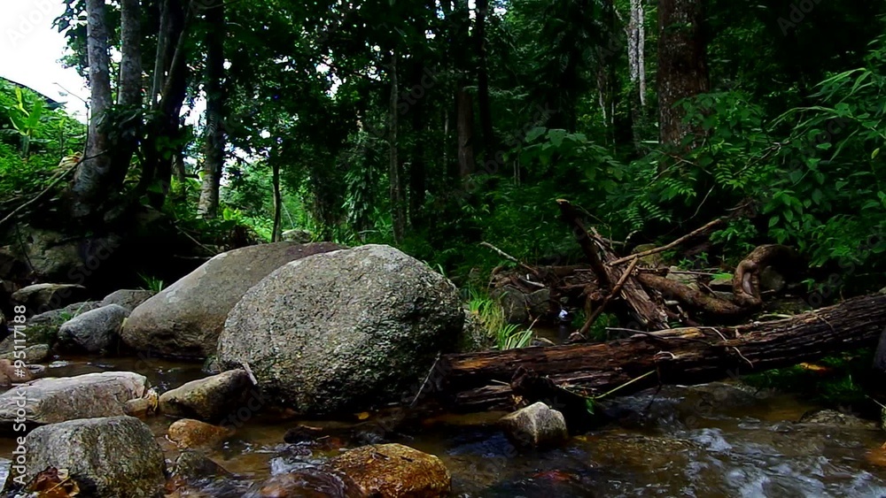 Many big rocks and stem of fallen tree in the tropical stream Many big rocks and stem of fallen tree in the tropical stream
