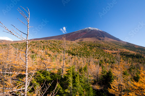 奥庭から見た紅葉の富士山