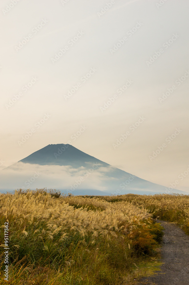 Obraz premium 富士山とススキ
