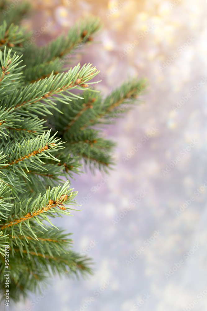 Pine. Pine.