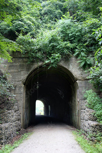 Fototapeta Naklejka Na Ścianę i Meble -  Tunnel on Bike and Walking Path Under Converted Railroad Track