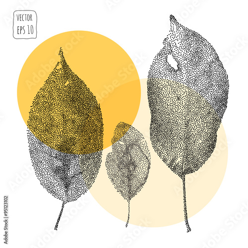 Leaves. Pattern with leaf