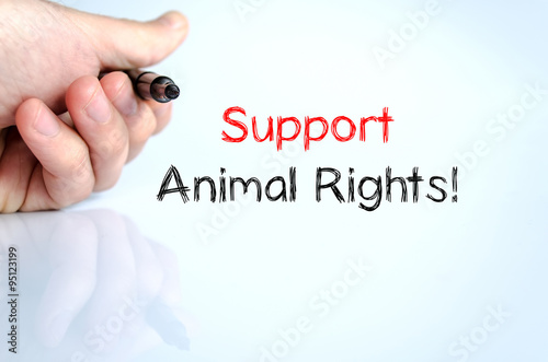 Fotografi Support animal rights text concept