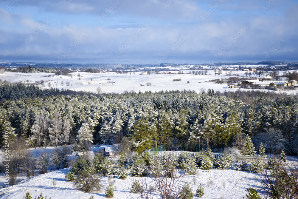 Winter panorama. Frozen trees, houses and meadows. Winter panorama. Frozen trees, houses and meadows.