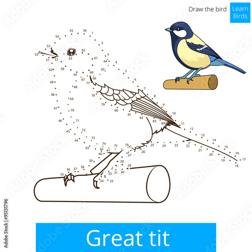 Great tit bird learn to draw vector