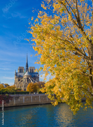 Cathédrale Notre-Dame de Paris en automne vue de l'Île Saint Louis 