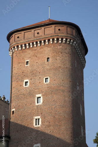 Tower of Wawel Hill, Krakow #95135324