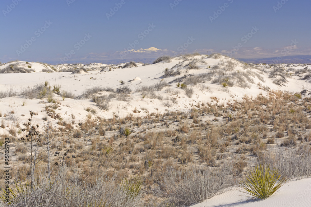 White Sands beneath the Mountains