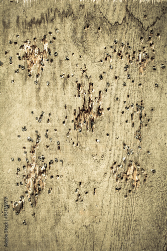 Board in all holes on the lead shot from a pneumatic gun.
