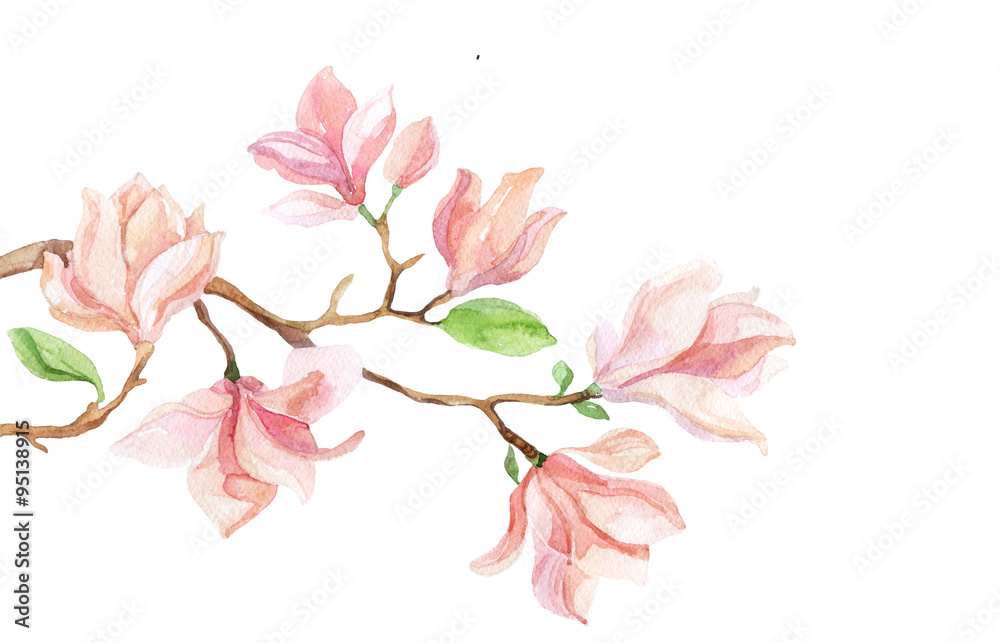 Watercolor with Magnolia flower