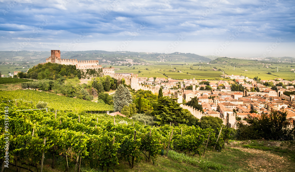view of Soave (Italy) and its famous medieval castle
