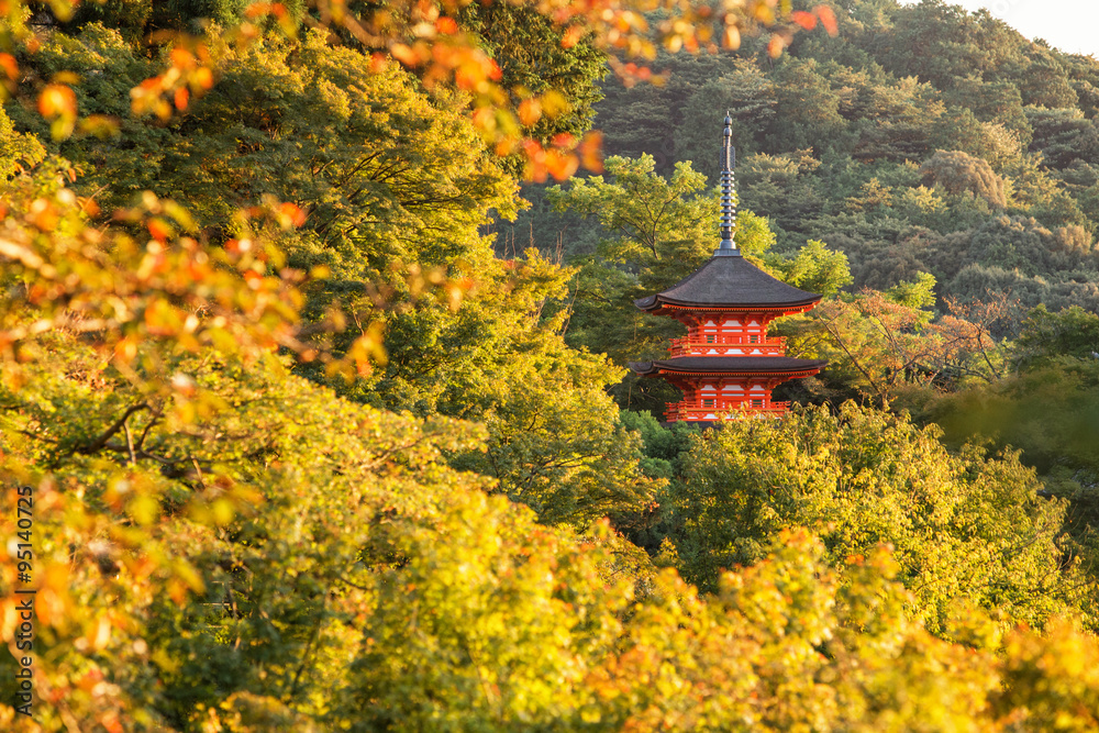 Obraz premium Red Pagoda at Kiyomizu-dera Temple with colorful red leaves , Kyoto, Japan