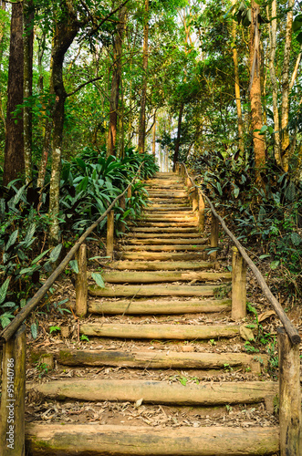 escada feita com degraus de madeira em um parque de São Paulo photo