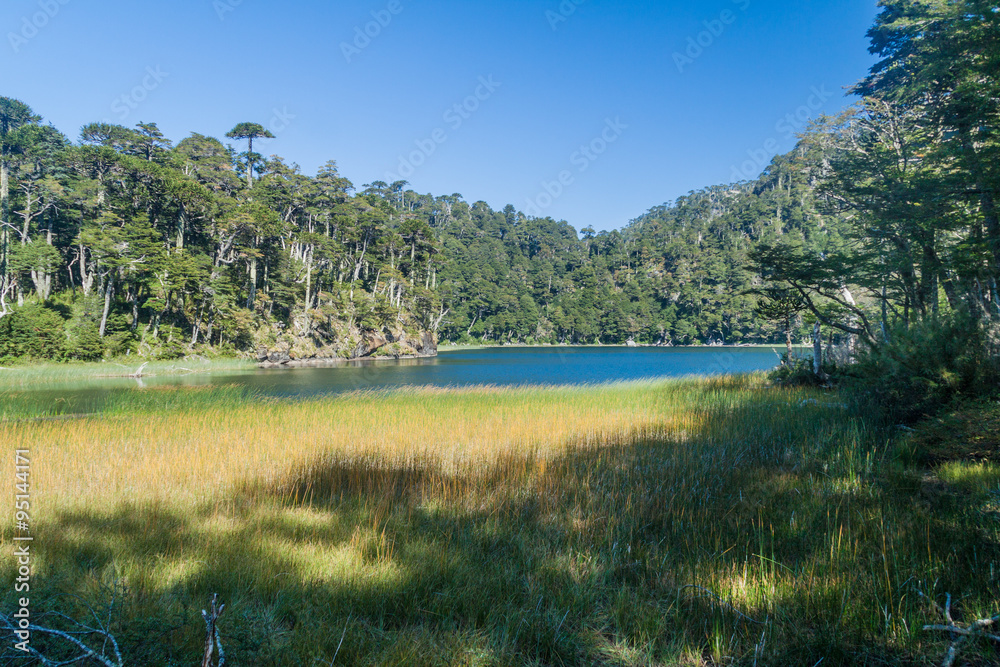 Lago Verde lake in National Park Huerquehue, Chile Lago Verde lake in National Park Huerquehue, Chile
