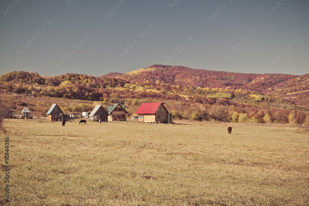 Fototapeta premium Rural autumn landscape in the mountains .