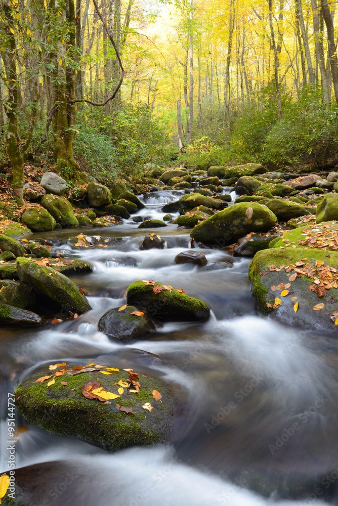 Fall colors surround a stream in The Great Smoky Mountains.