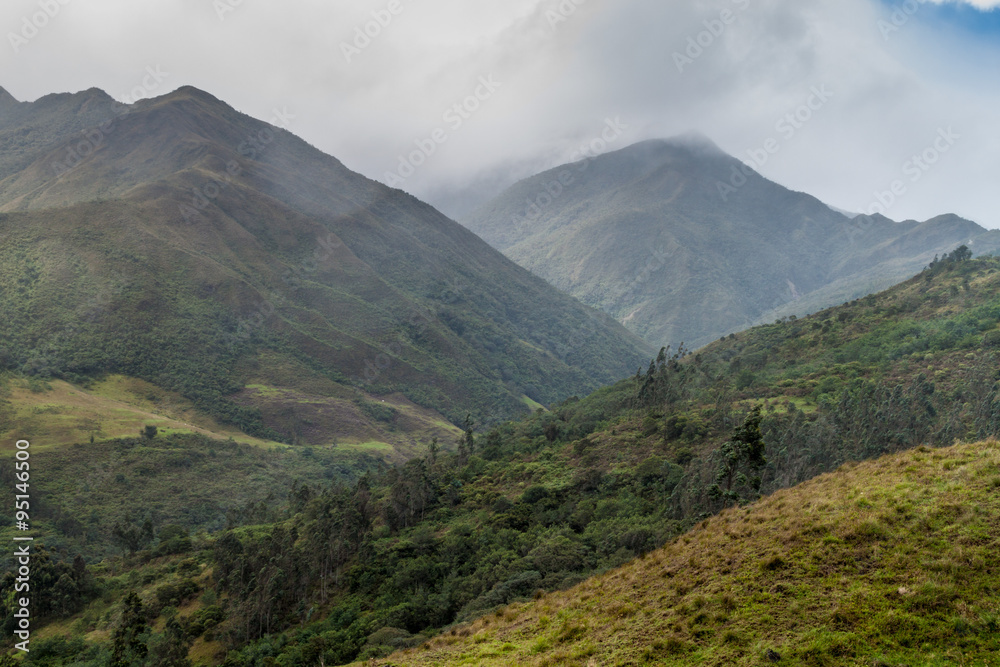 National Park Podocarpus in southern Ecuador