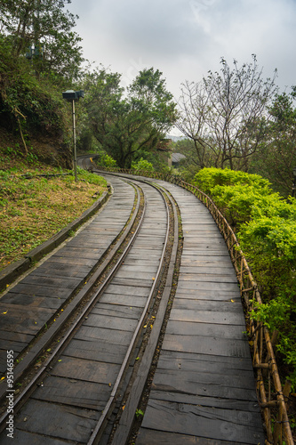 Railway Tracks Through a Forest
