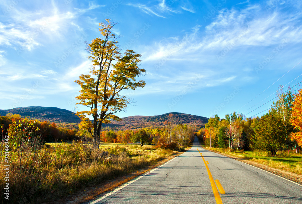 Fototapeta premium New England during Fall Time: Scenic Drive through Maine