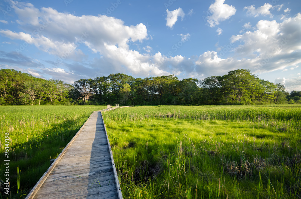 Obraz premium Long Wooden Walking Path through Estuary in Summer - Peaceful Nature Trail on Marsh