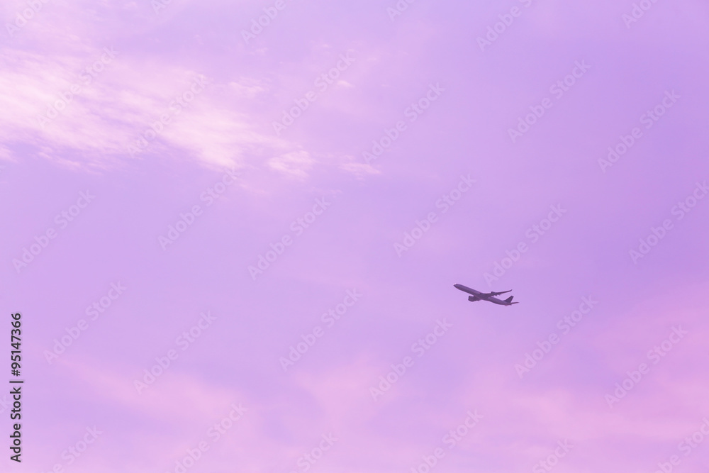 Fototapeta premium 旅客機